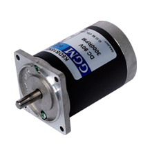 Standard Brush Motors